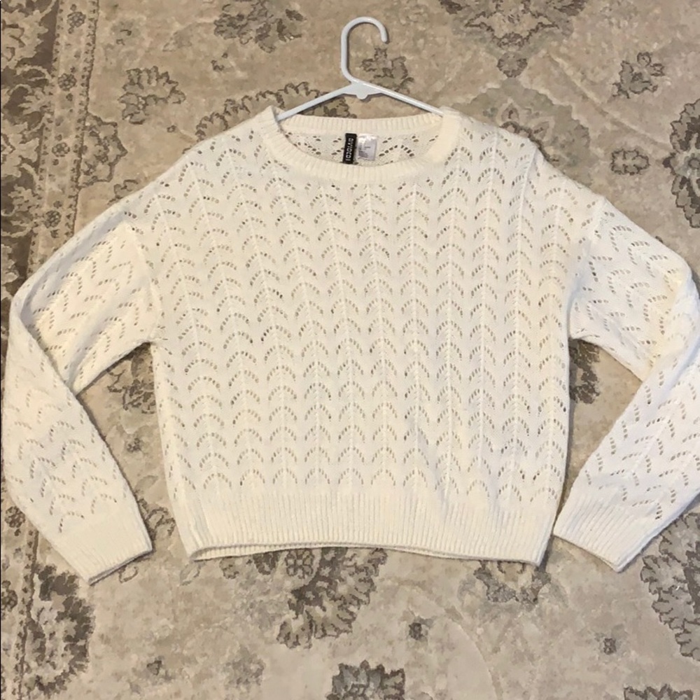 H and M Divided Sweater